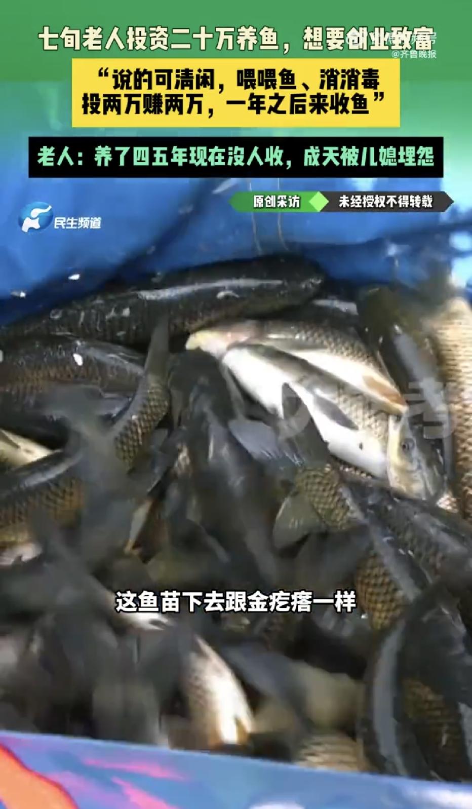 河南洛阳，一位75岁的大爷，拿出了二十多万养老钱投资养鱼，对方说好“包回收”，可