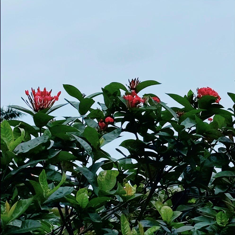 信息  关于国家铁路集团兰州局集团原高管的 12月10日下午3:30，一条