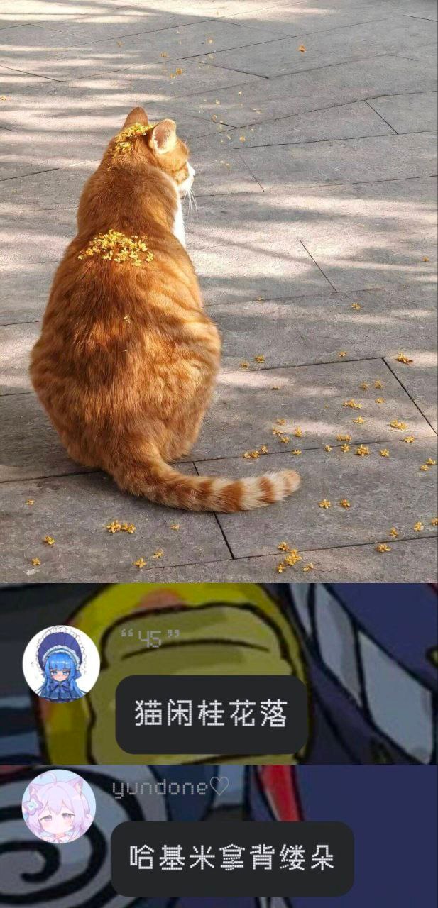世界上有两种人​​​