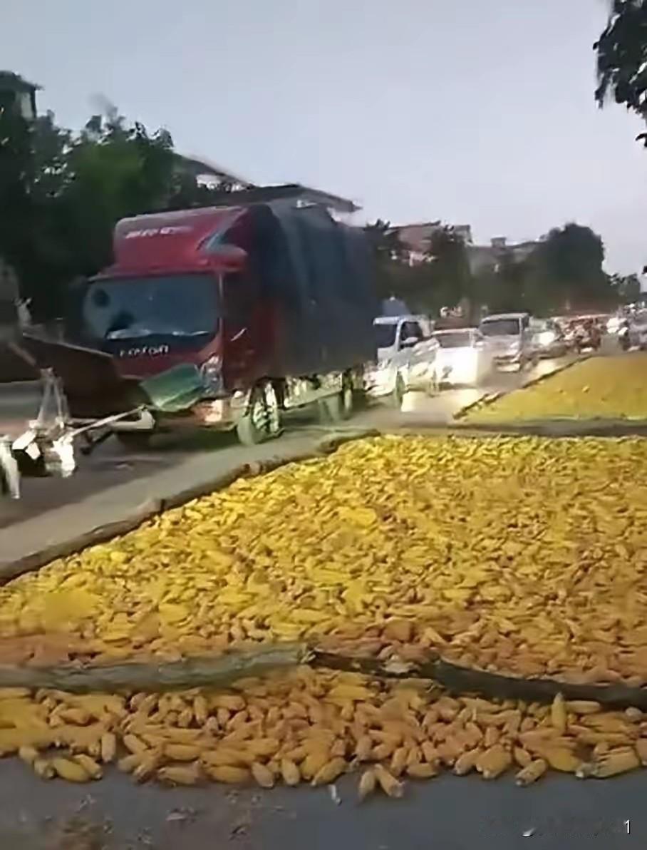 邻居占道晒玉米，导致堵车，路过的司机看不过去就抱怨了几句。邻居说：“趁这两天