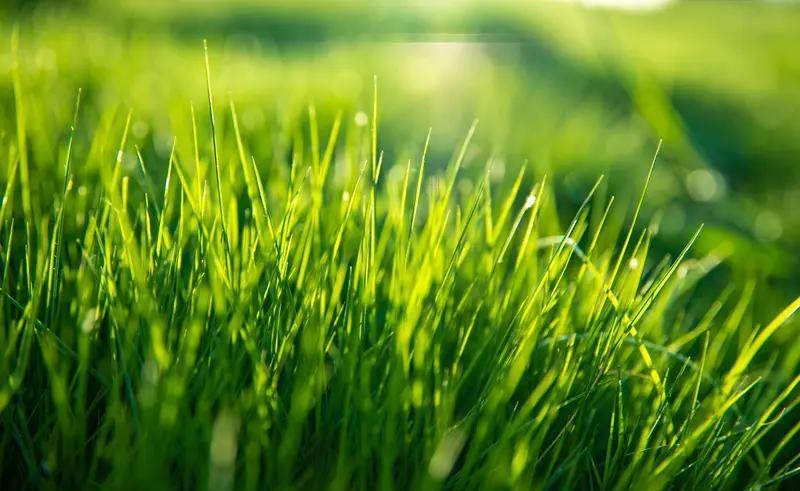 明天2025年12月3日十二星座综合运势排名前五名：第一名：狮子座202