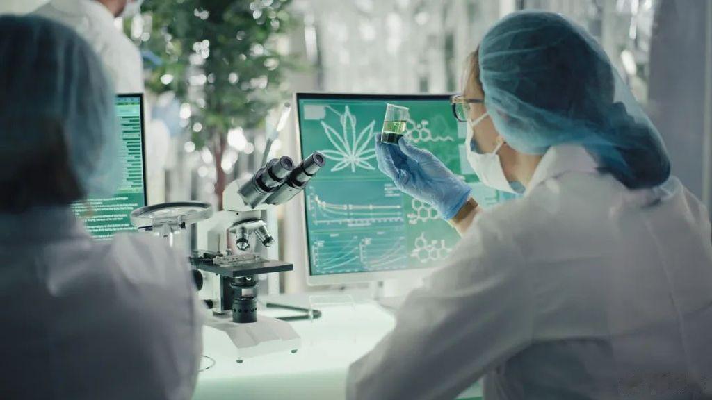重磅! 《药品挂网规则》发布, 严重冲击药店和医药电商