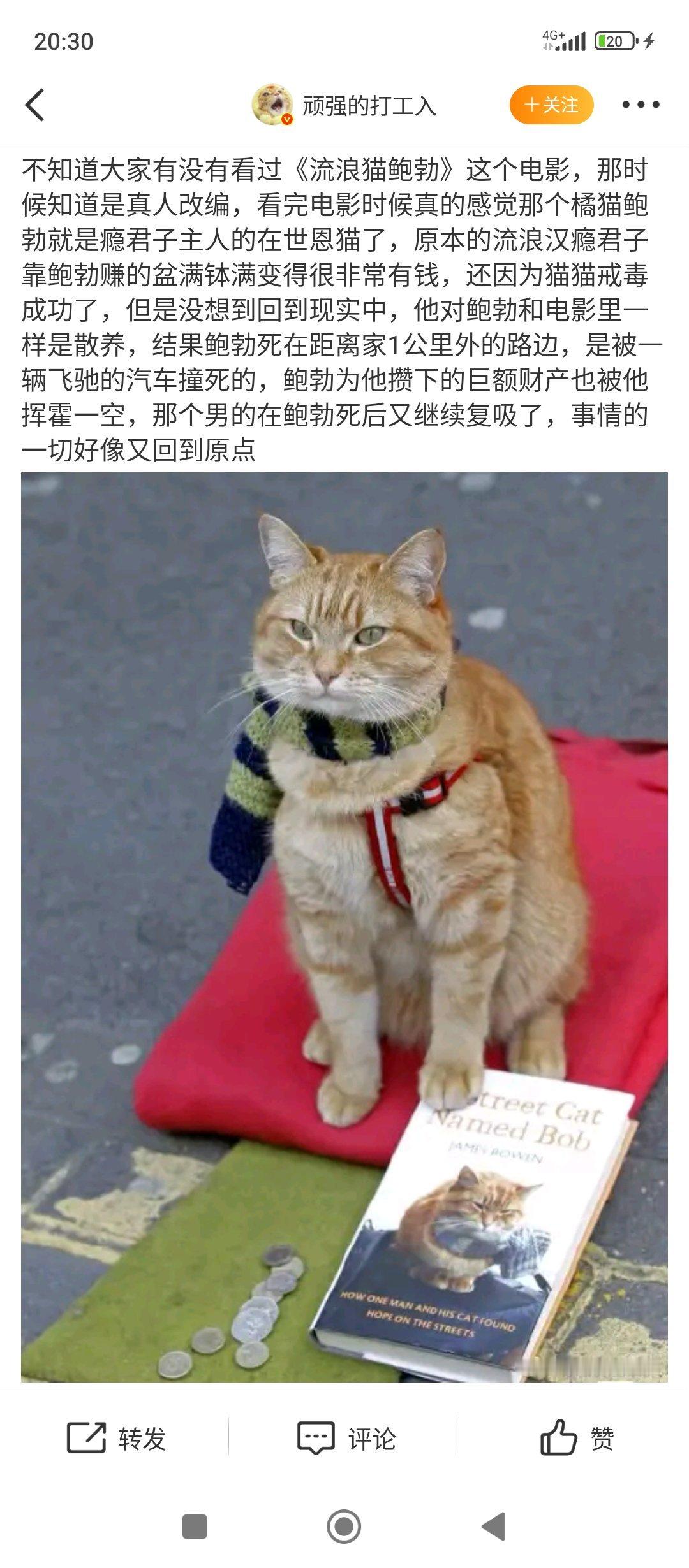 流浪猫鲍勃流浪猫鲍勃去世这个新闻早有耳闻上谷格搜索了一下，一个极度恶心，不要脸