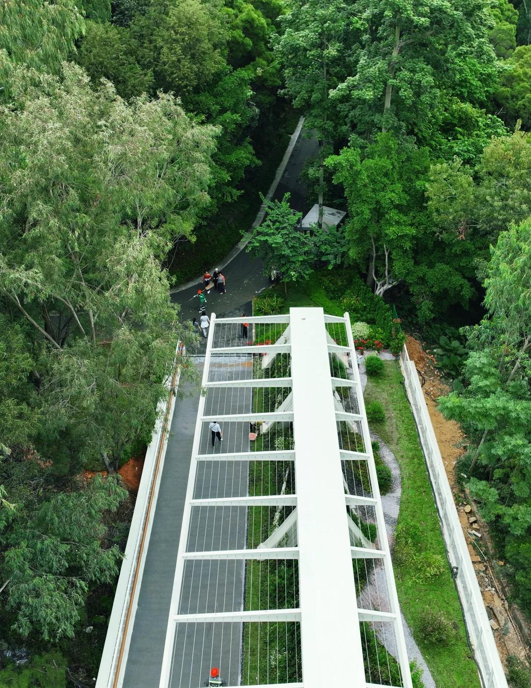 深圳空中连廊开放🍃这8大公园实现丝滑串门好消息‼️鲲鹏径二号桥三号桥正式开放