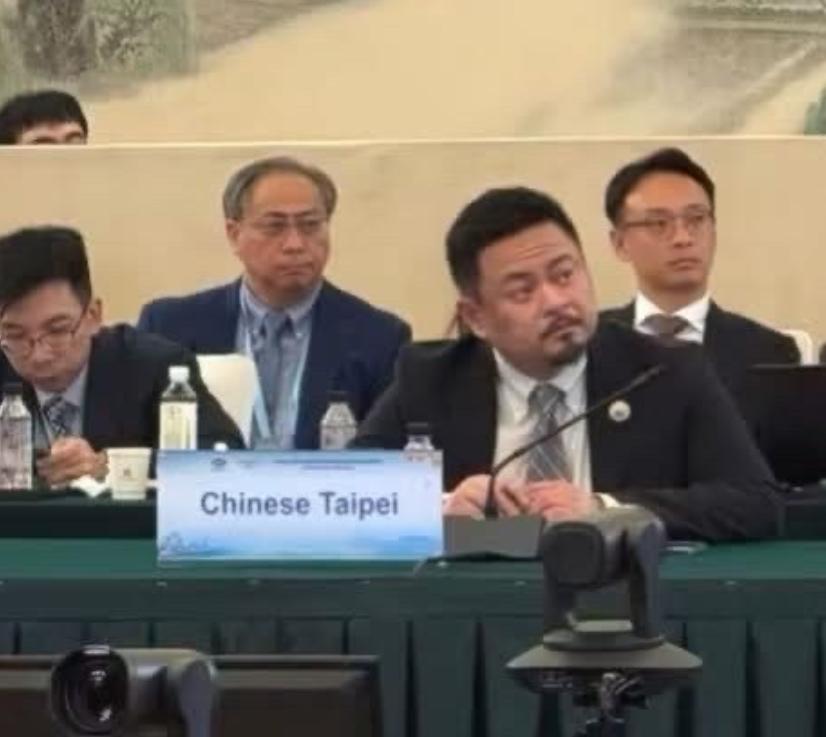 洪申翰以中国台北经济体代表身份，参加在南京举办的第八届APEC人力资源发展部