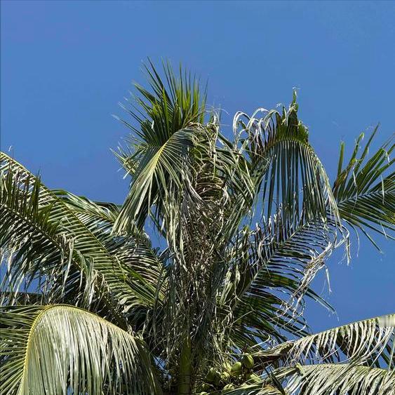 11月17日，一则关于宁波海关原官员的信息传递出。 该信息是事关陈猛裕的。