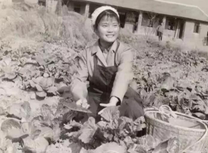 1971年，大队副主任一眼瞅见孤零零躺在床上的马琳，又瞅瞅知青点没有其他人，开始