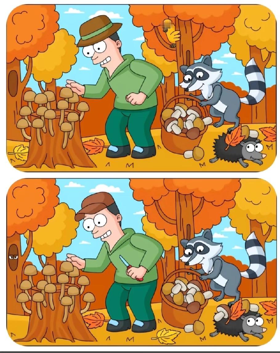 看到“采蘑菇”找不同，评论区已经吵翻，你能找出几处不同？