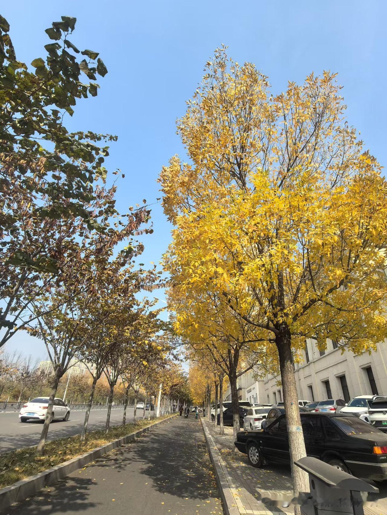 咱先不说长寿这事儿有多玄乎，但不抽烟不喝酒，身体肯定少遭罪！你想啊，烟里的