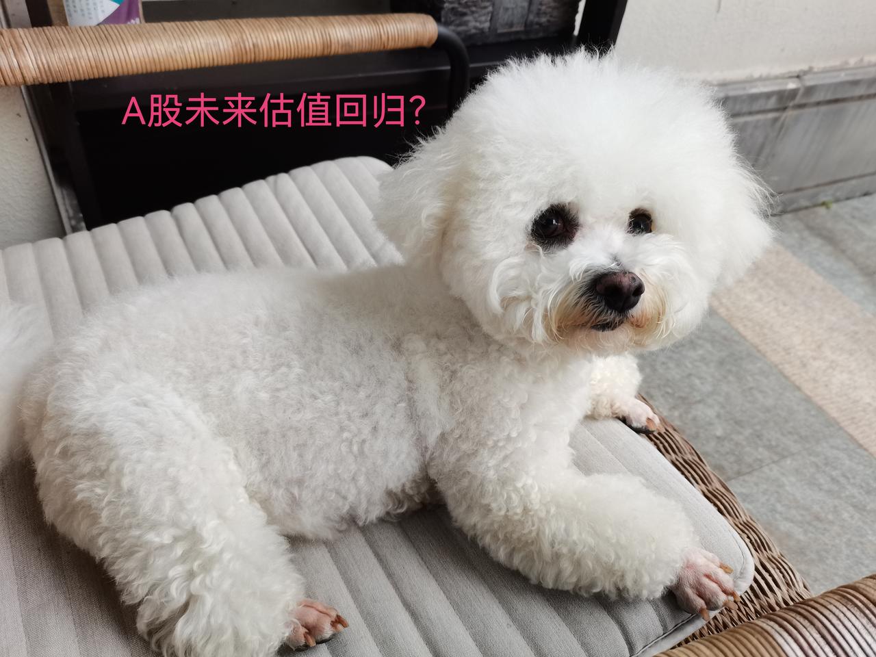 A股未来进入估值回归氛围？先思考两个问题：1、那些高高在上的股票还能继续上涨吗？