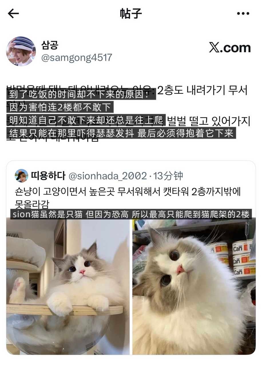 【tg】啊真的为什么那么可爱真的好可爱好可爱