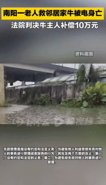 “把命搭进去了！”6月18日，河南南阳，一68岁老汉在暴雨天见隔壁邻居家的牛快淹