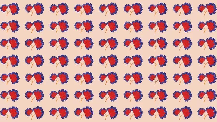 在这张满是红蓝相间花朵图案的图片中，看似所有图案都整齐排列、毫无差别。然而，其中