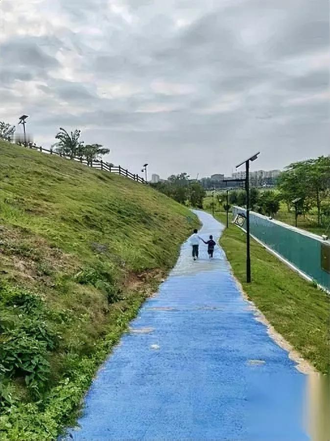 “妈，你老了谁管？”“看弟弟。”八岁哥哥一句甩锅，把我问懵。下一秒，三岁