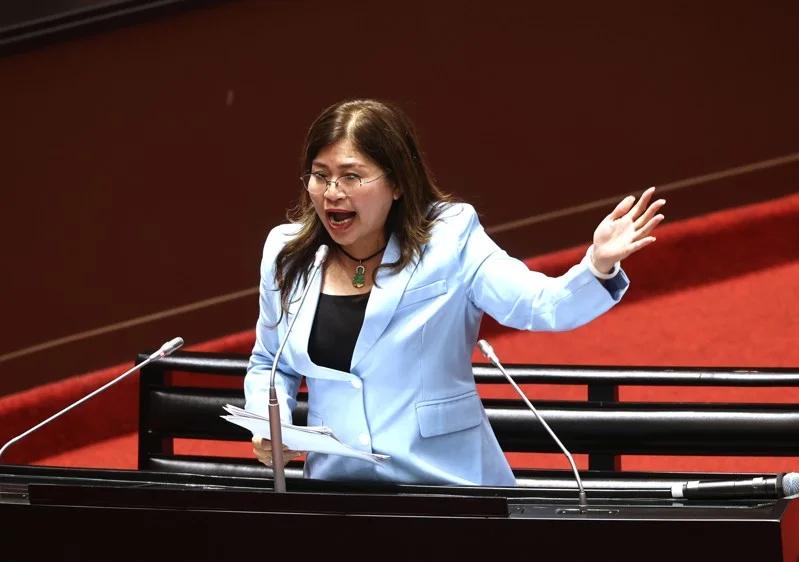 反对两年条款被破坏麦玉珍：制度重于个人民众党两年条款期限将至，传出立委陈