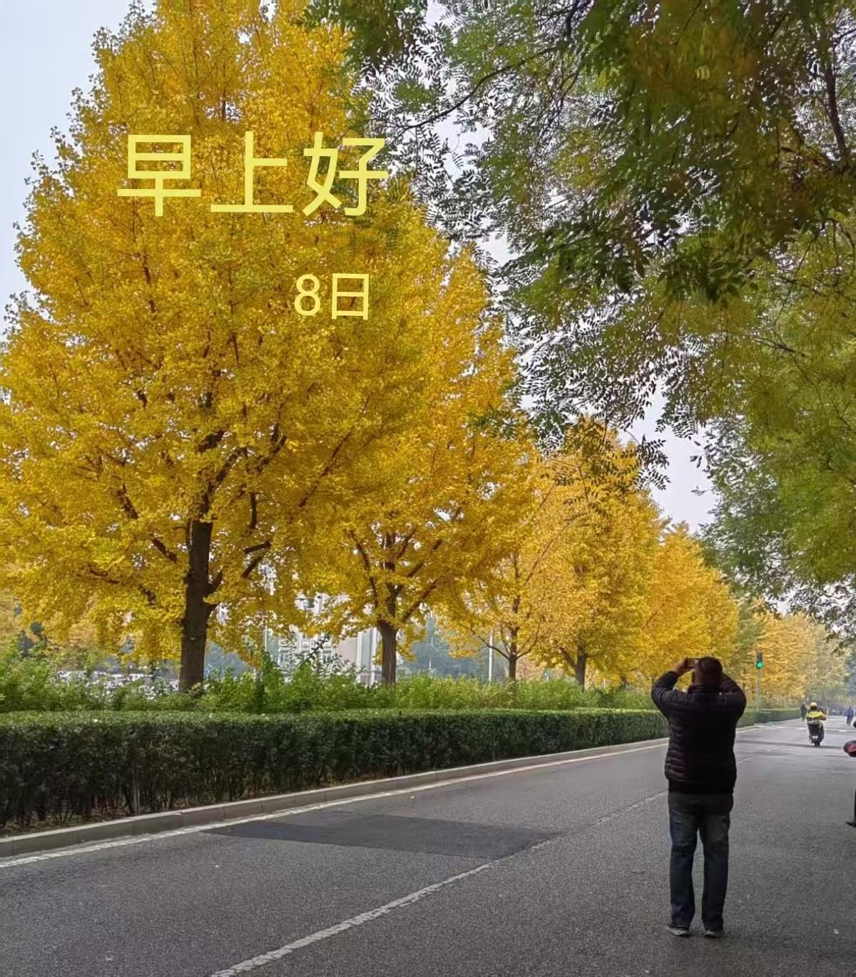 孩子在小学学习习惯重要，思维习惯更重要！小学阶段，并不是希望孩子能够刷多