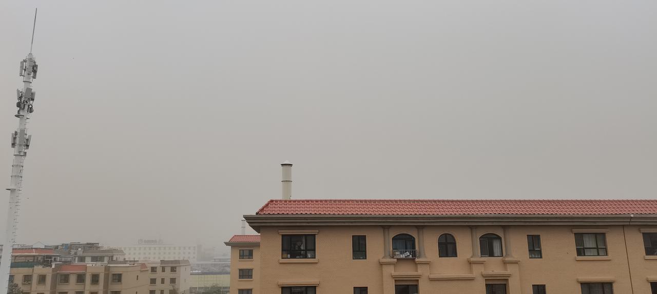 乌鲁木齐，今天下午的树都喝了酒，东倒一下，西歪一下，没有个正经相。这是吹起了狂
