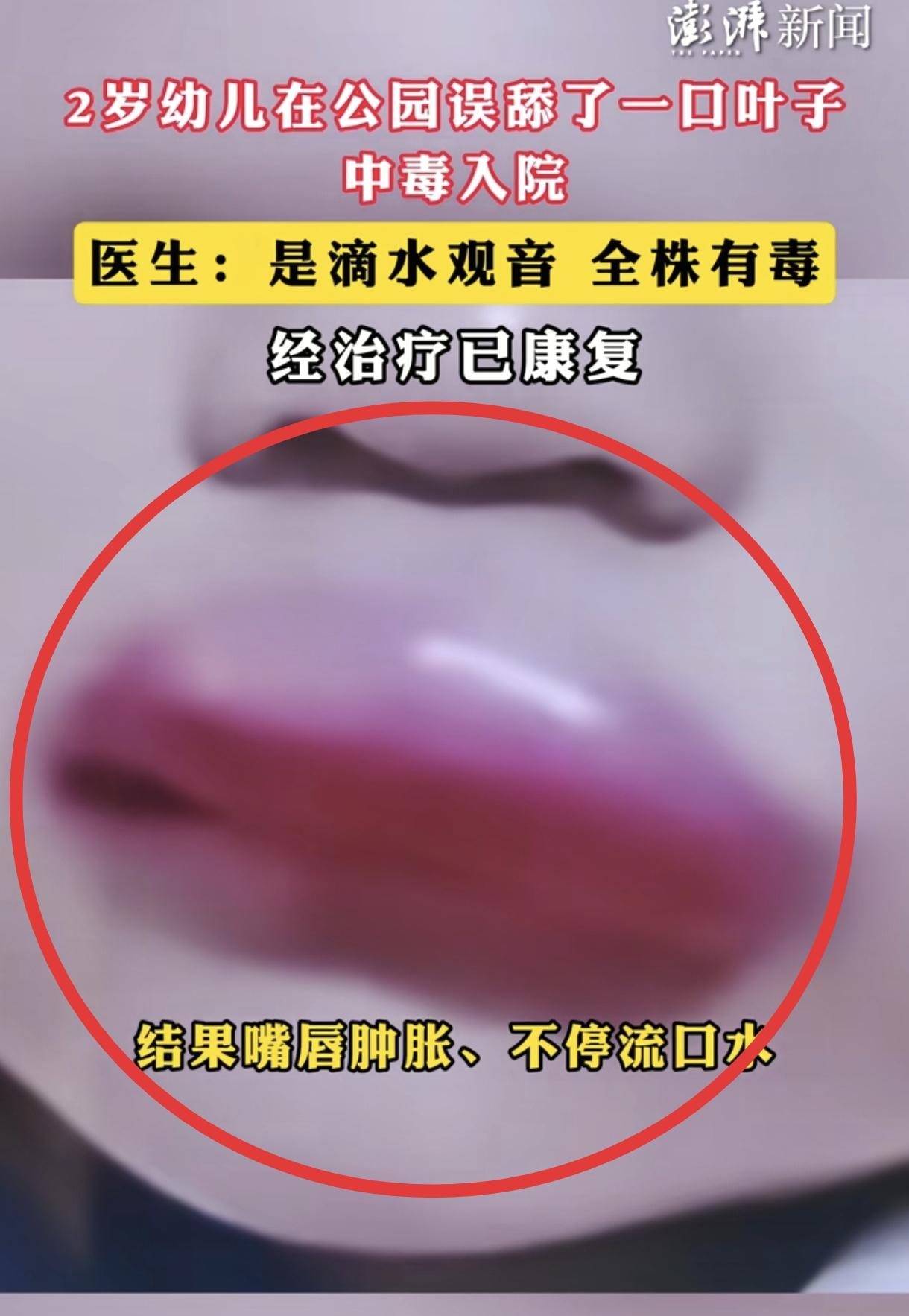 “悲剧发生了！”广东一位2岁宝宝在公园玩耍时，妈妈一时没注意，小家伙就误舔一口滴