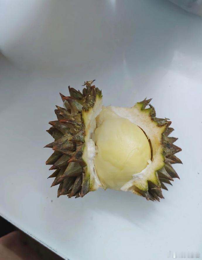 这榴莲怎么还住上单间了离谱！榴莲果肉给核当陪衬，核直接住上了豪华单间，这榴莲主打