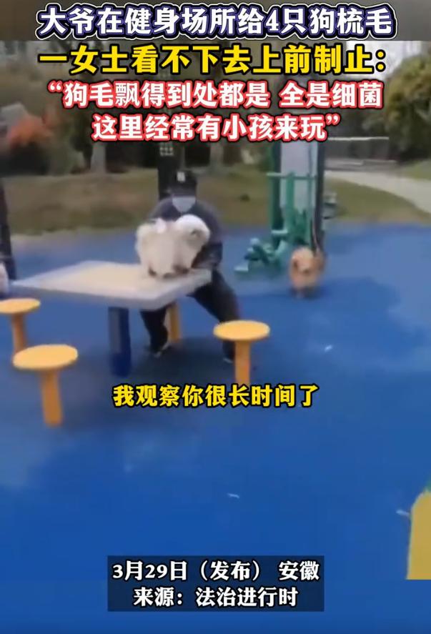 这是正义大妈！安徽，一位大妈去公园溜达，看到一位大爷在健身场所给狗梳毛，女子越看