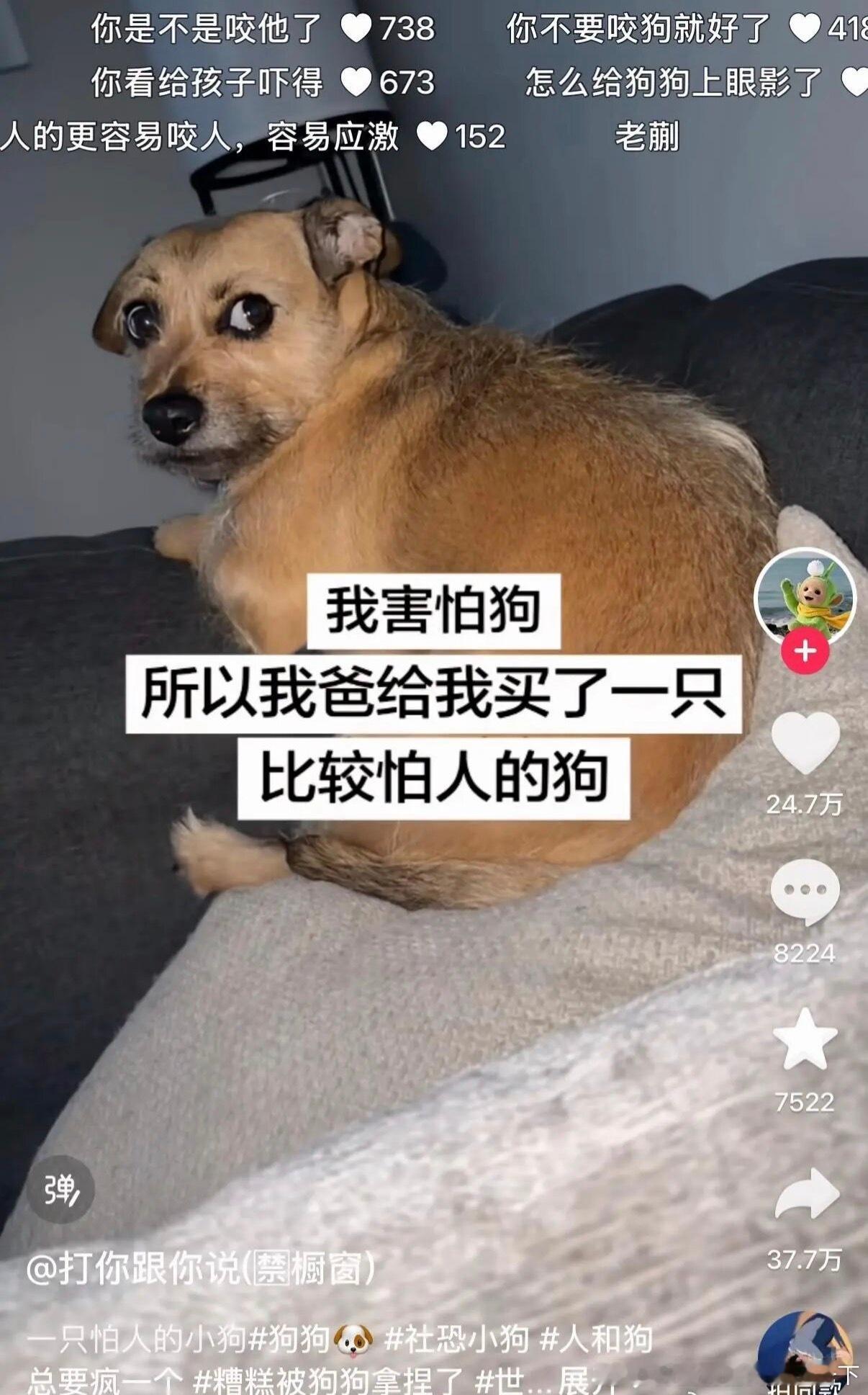 6124双方都怕对方咬自己一口