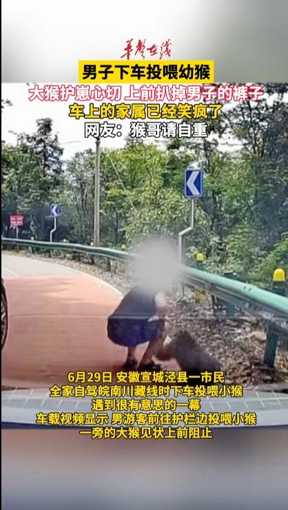 这种游客在野外投喂野生动物的现象非常危险，不仅容易被野生动物伤害，还容易给动物养
