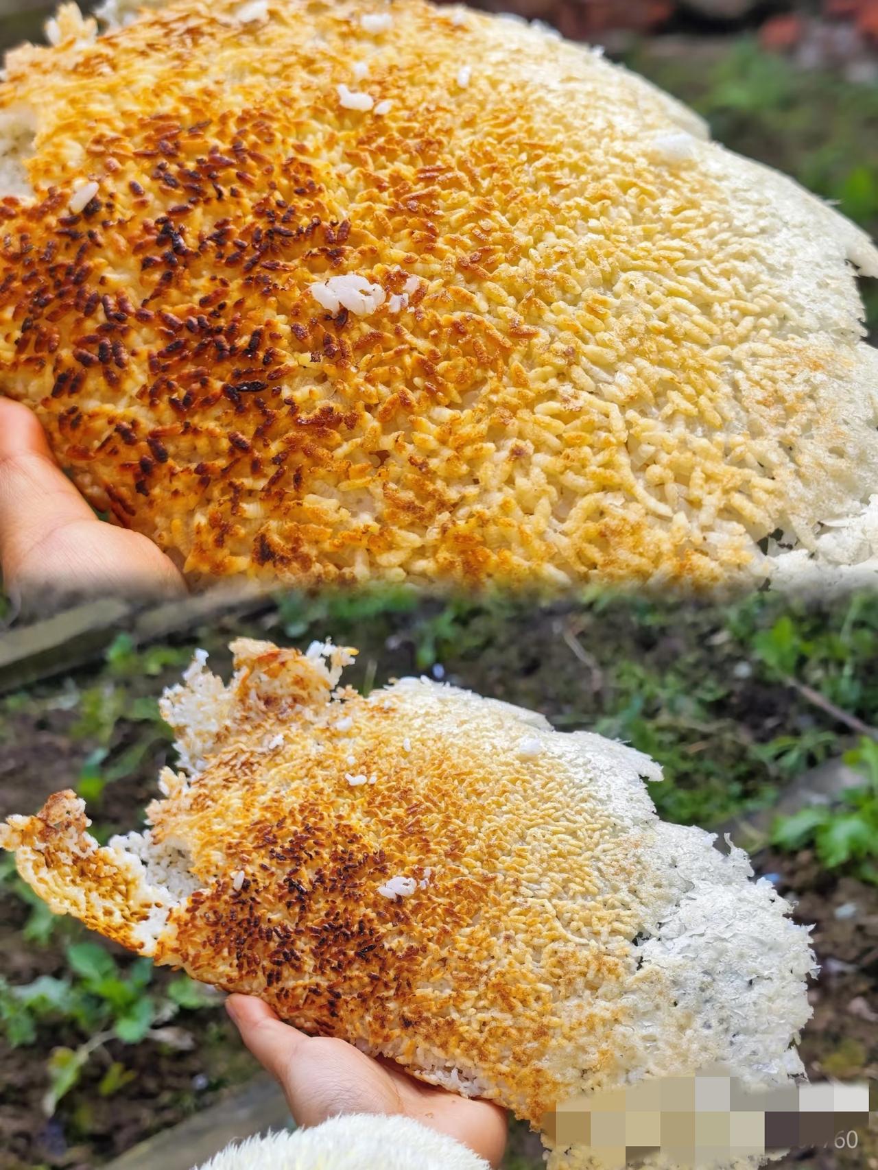 你喜欢吃柴火灶做的食物吗?巨爱啊！柴火灶做的饭真的自带锅气，不管是焖饭还是炖菜