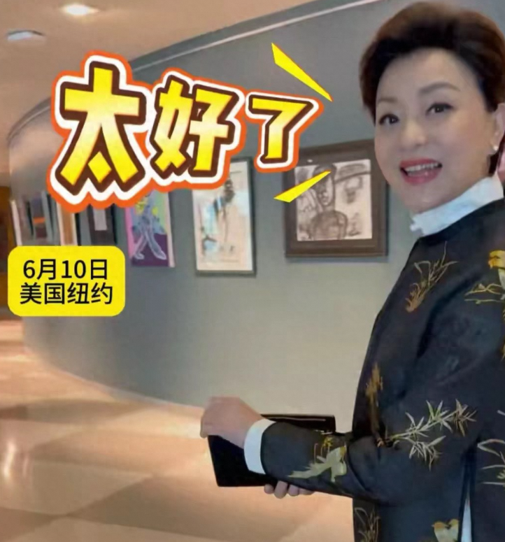57岁杨澜于联合国惊艳亮相，多重身份背后的持续发光