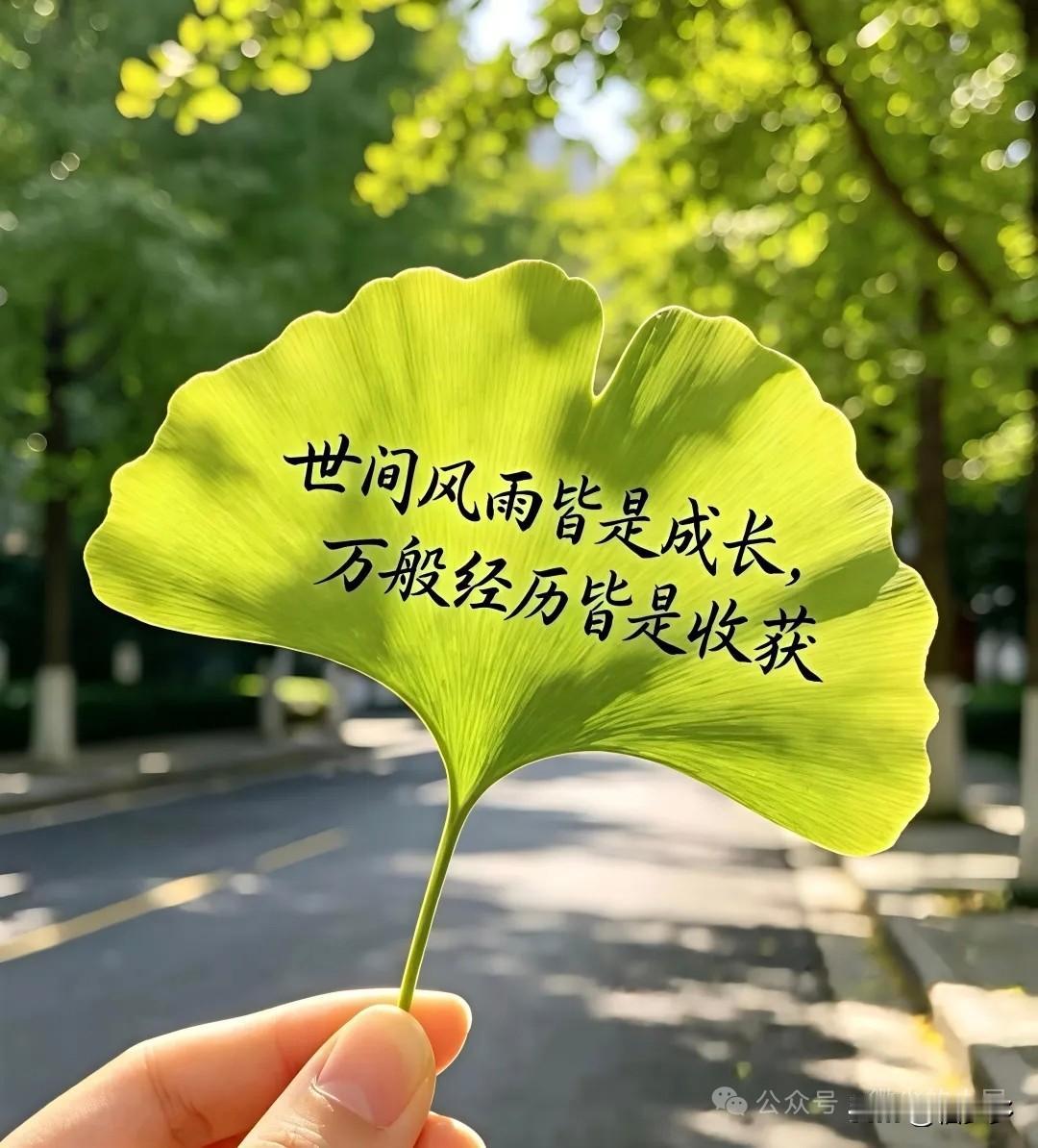 你一定要明白：真正能将你从低谷里拖出来的，从来都不是时间，而是你心里的那段释怀和