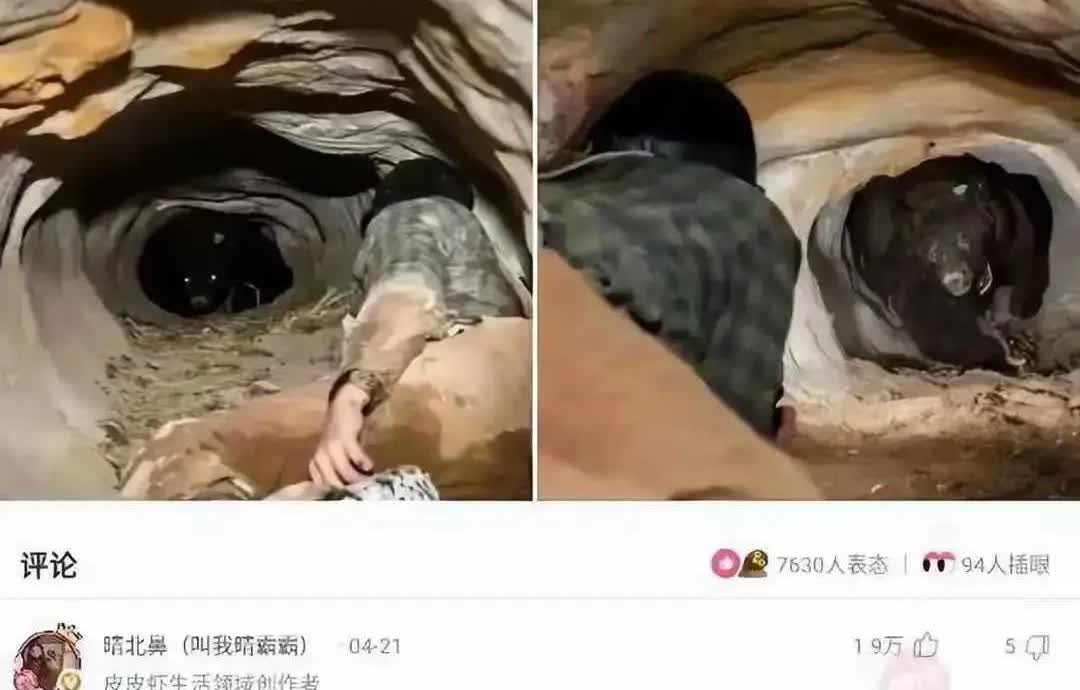哈哈哈，我要被笑死了，一个男子在山上露营，发现了一个山洞，直接就住进去准备睡一晚