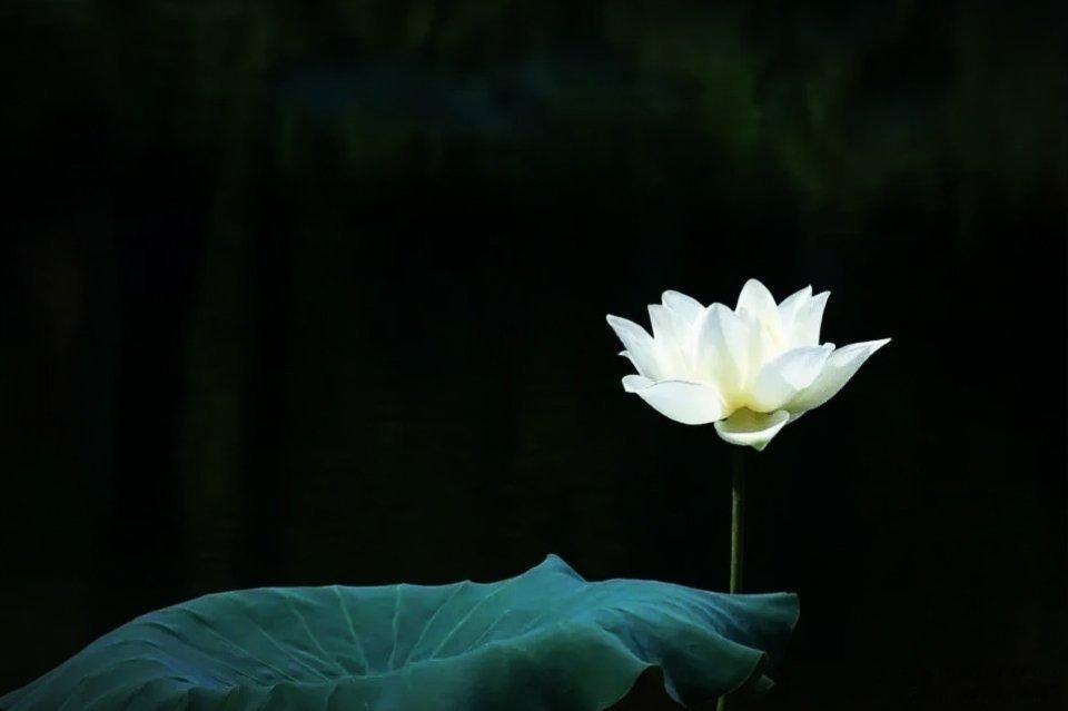 ​人可以直率，但不能刻薄；可以谨慎，但不能怯懦：可以随性，但不能放纵；可以宽容，