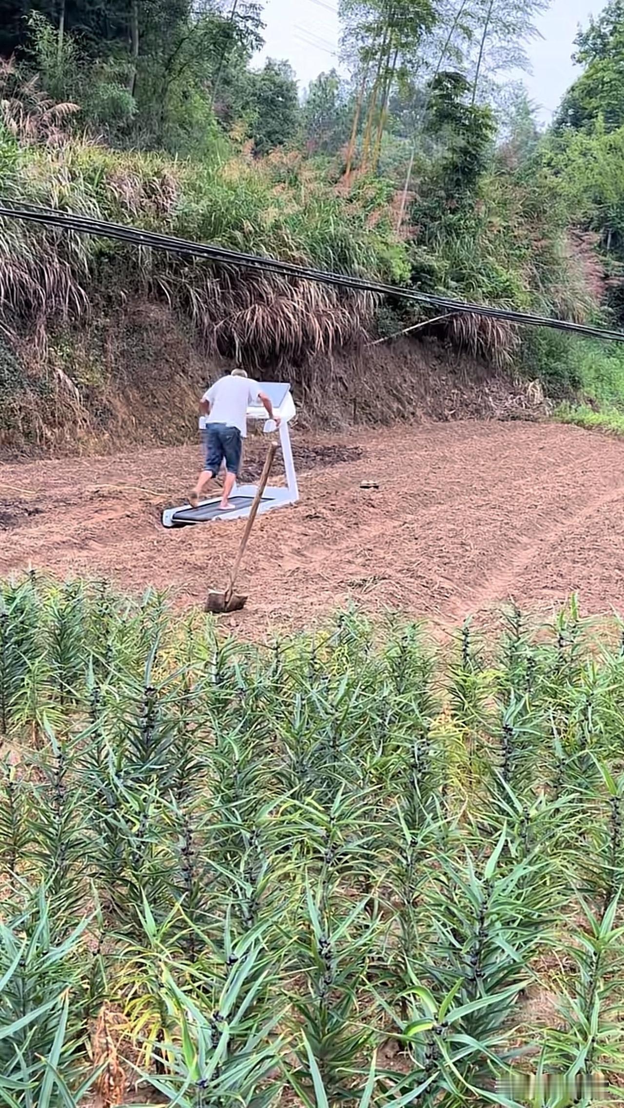 我去，奇怪的事情都让我给遇见了[惊恐][捂脸哭]这是啥操作？田间地头