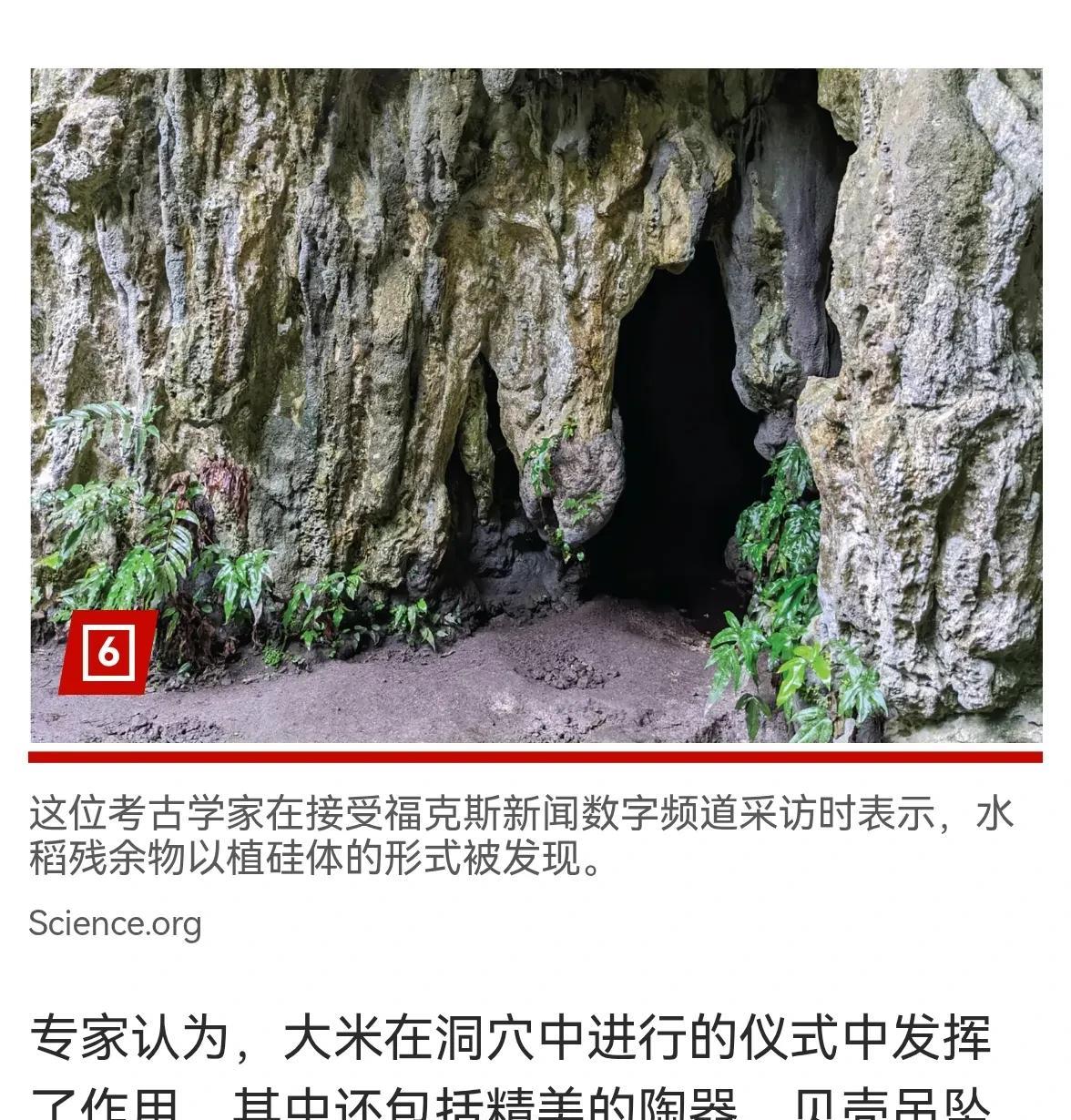 西方考古学：找到3500年前关岛上的大米痕迹，而且还是从2300公里外的岛屿上运