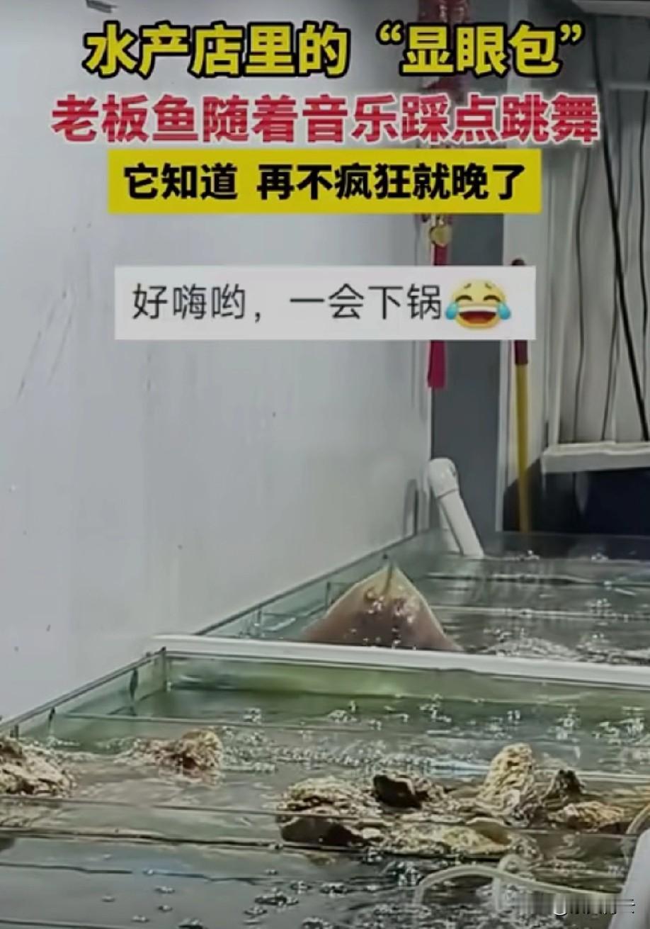 哈哈哈显眼包一个怪可爱的[比心]