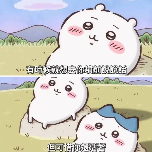 你tm打个转向灯会死啊？！吃柠檬​​​