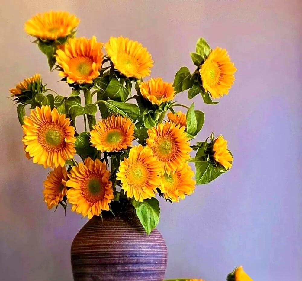 说真的，饭局上段位最高的，从来不是那个到处敬酒、疯狂加微信的。而是那个安安静静