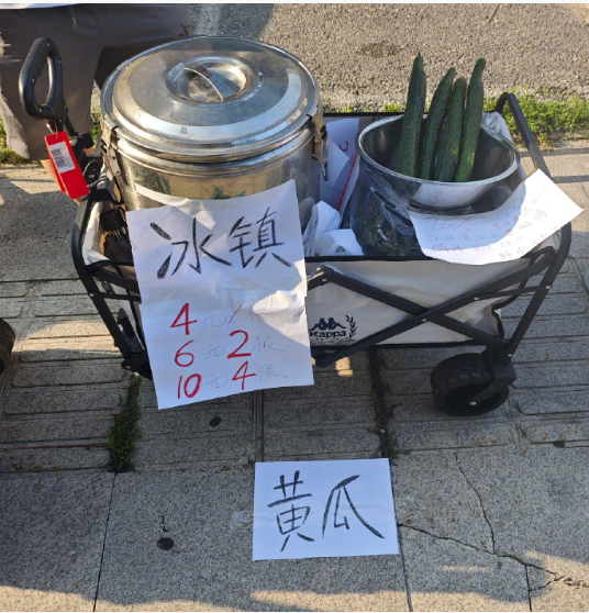 事实证明不要在演唱会门口卖黄瓜​​​