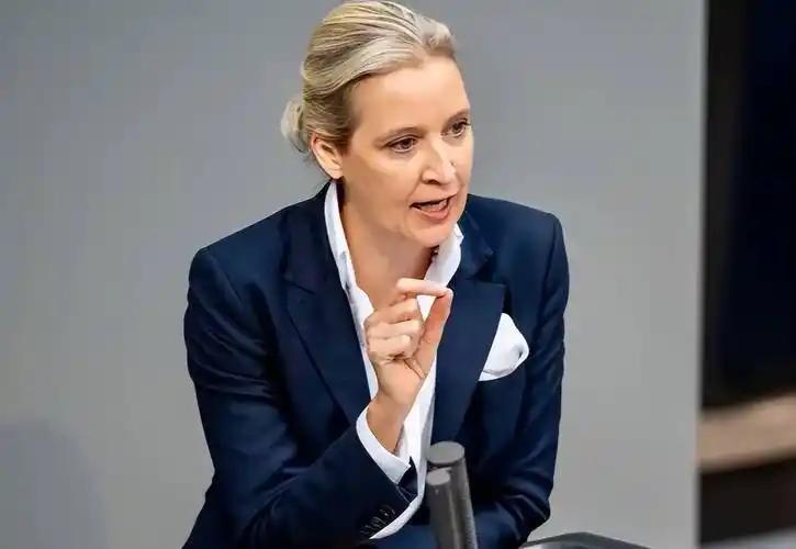 德国选择党的女党首魏德尔这回又甩出个大猛料，她直接把话挑明了：台湾问题是中国自己
