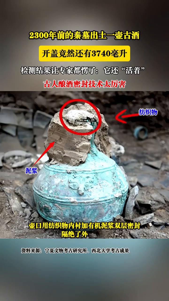2300年前的秦墓出土一壶古酒，开盖竟然还有3740毫升，检测结果让专家都愣了：