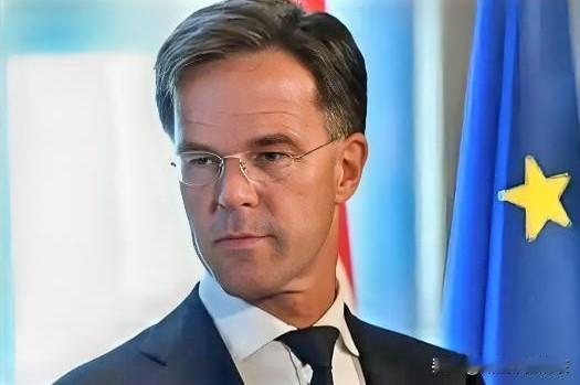 快报！关于荷兰🇳🇱安世荷兰经济大臣又叒叕了！12月31日环球网报道，