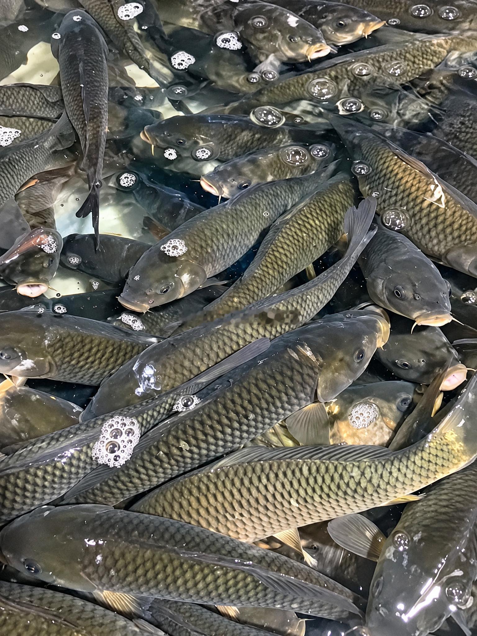 恭喜您因善心善行，所积功德深广无量，已渐趋圆满。愿蒙诸佛菩萨慈悲加持，护佑您与家