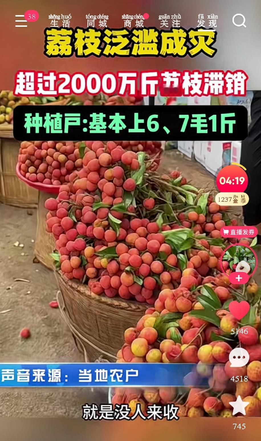 今年荔枝大丰收，漫山遍野的荔枝树，挂得满枝满桠都是，红通通的特别喜人。可果农们半