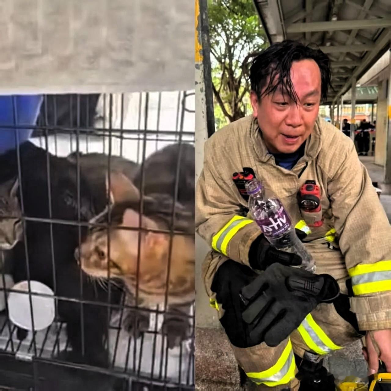 果然人和人是不一样的香港消防员在救援行动中，尽管面临危险，仍然冒着被大火烧灼