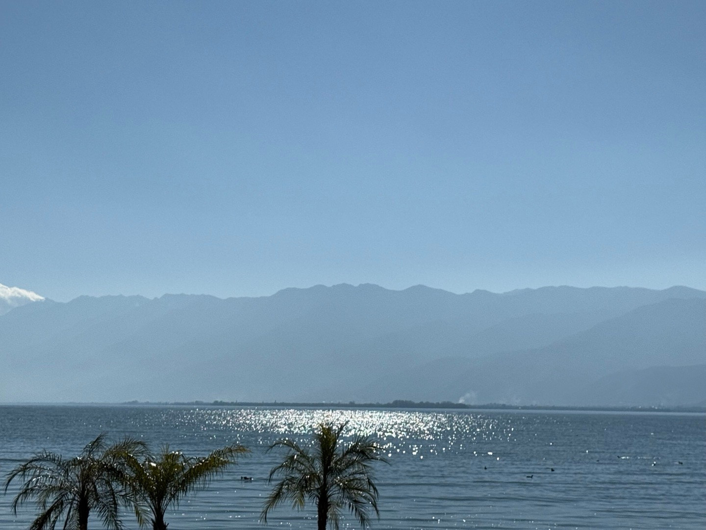 听了风的话去了有风的地方大理
