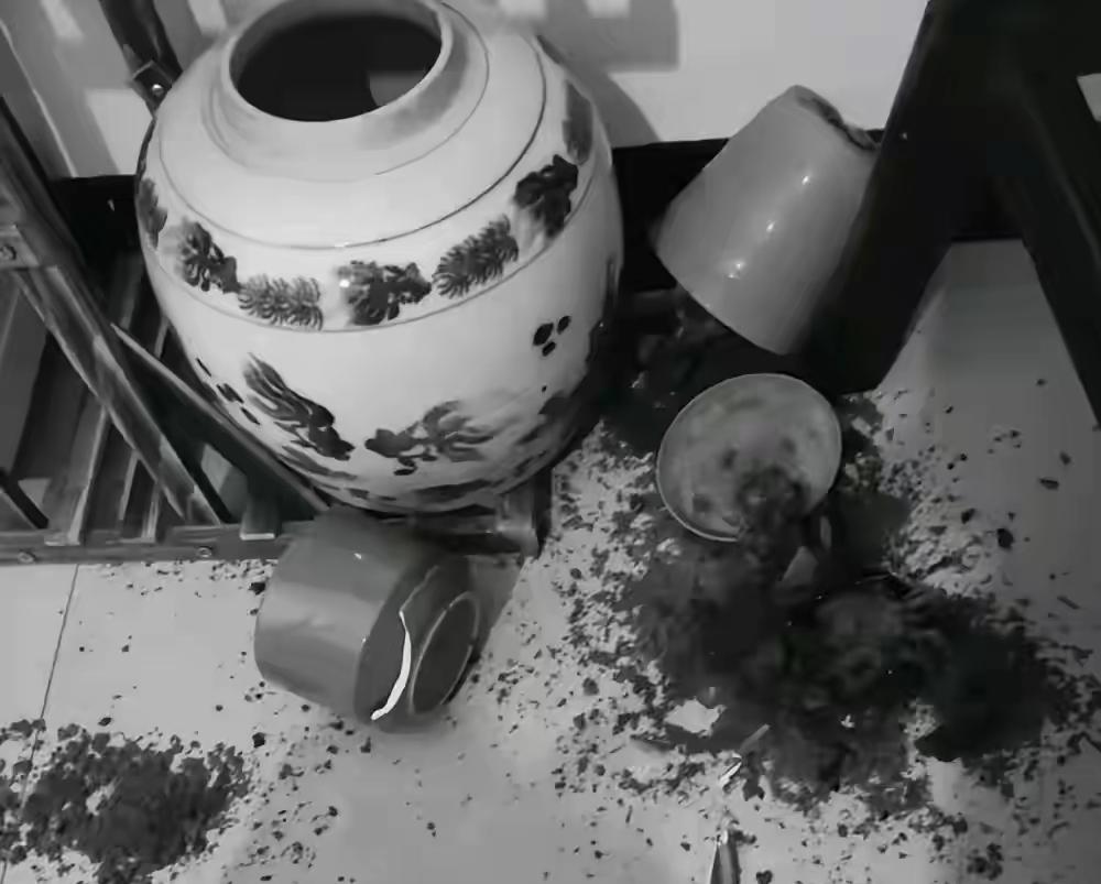 人到了中年再看这出摔盆闹剧，蕞大的讽刺，是那些口口声声讲规矩的人，最不讲良