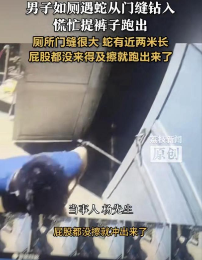 想想就后怕！广西玉林一名男子在公共厕所里上厕所，当时天气炎热，这名男子正在专心如