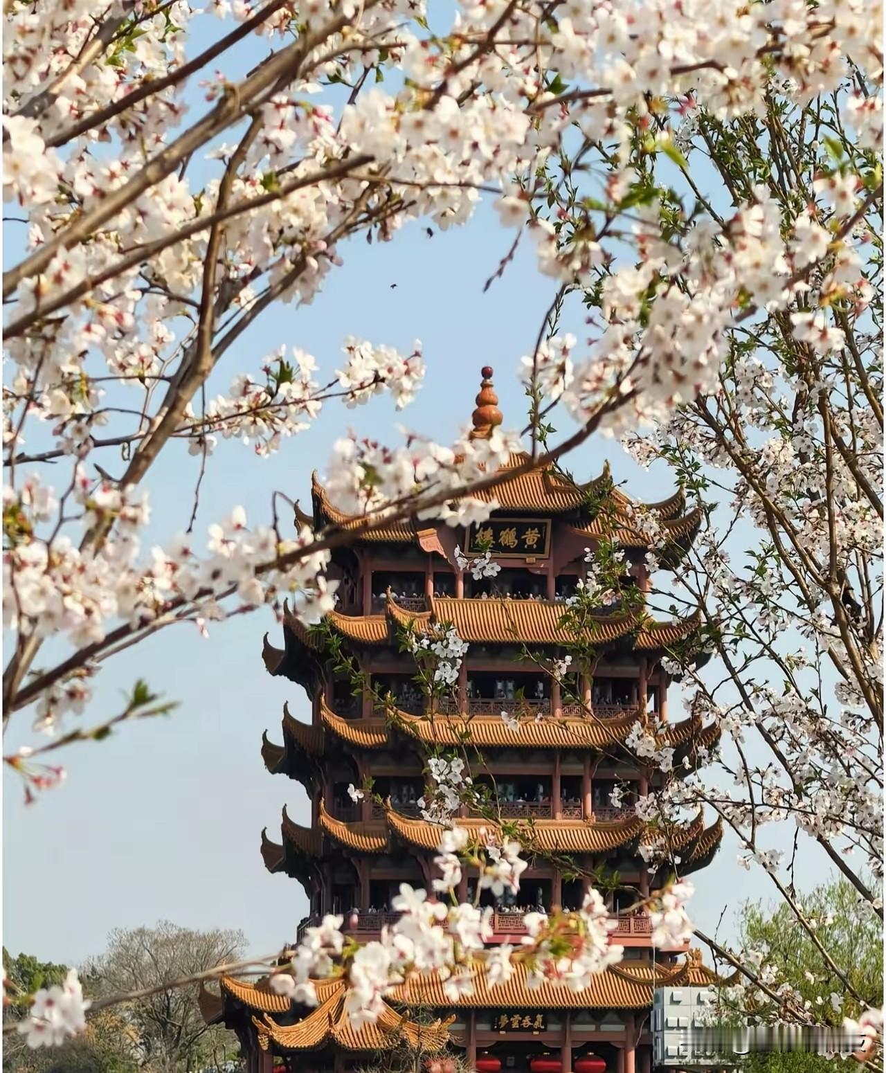 河湖+幸福！武汉启动三年美丽计划大江大湖大武汉，2025年有了更幸福的模样。