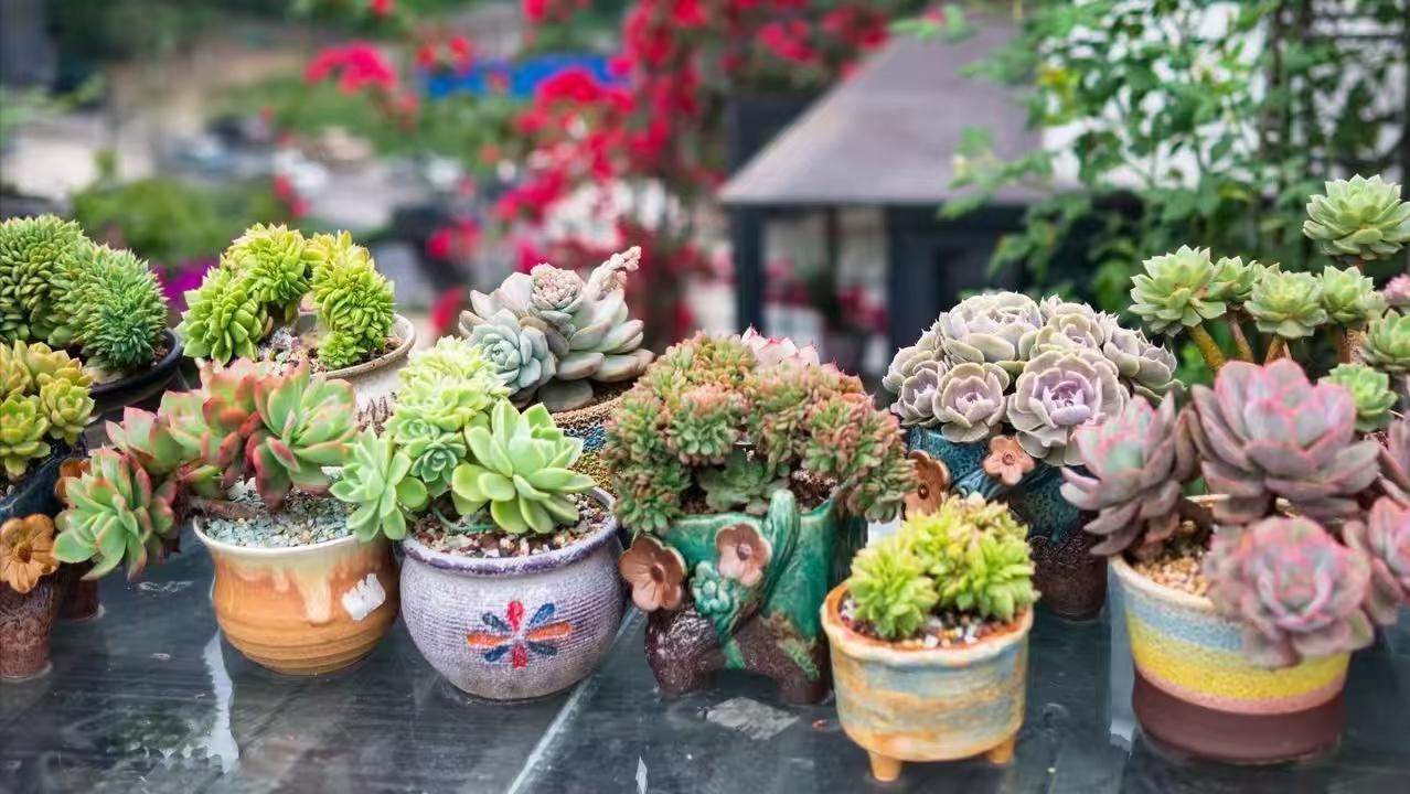 办公室李大姐，接了女儿的电话后笑的都合不拢嘴了，得知真相后，哭笑不得：原来父母和