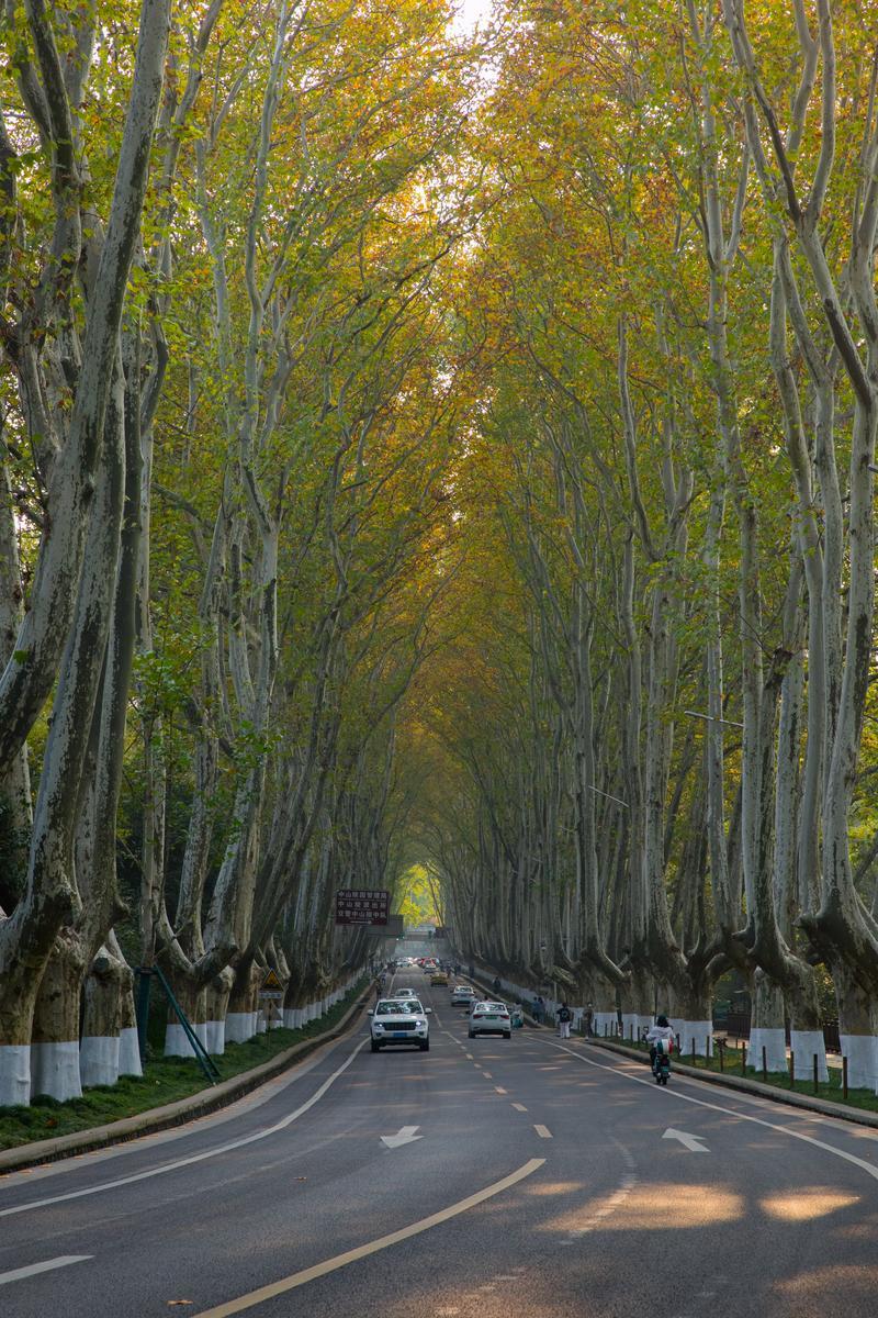 南京是一座名副其实的“大学之城”，拥有2所985、8所211和13所双一流大学，