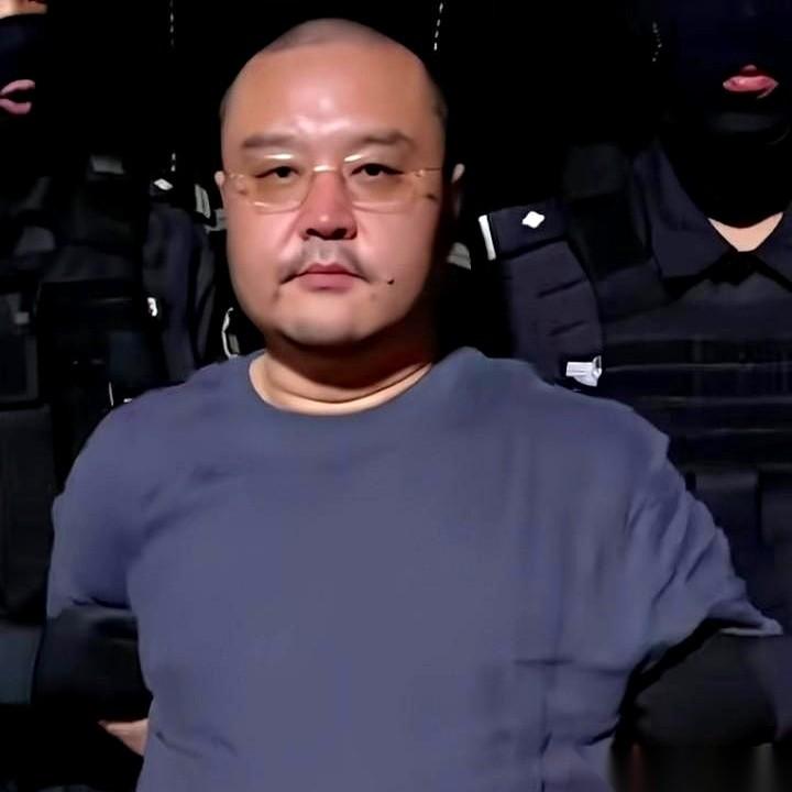 那个被称为“柬埔寨地下支付宝”的男人，李雄，从金边押回来了。他不是小角色，他是